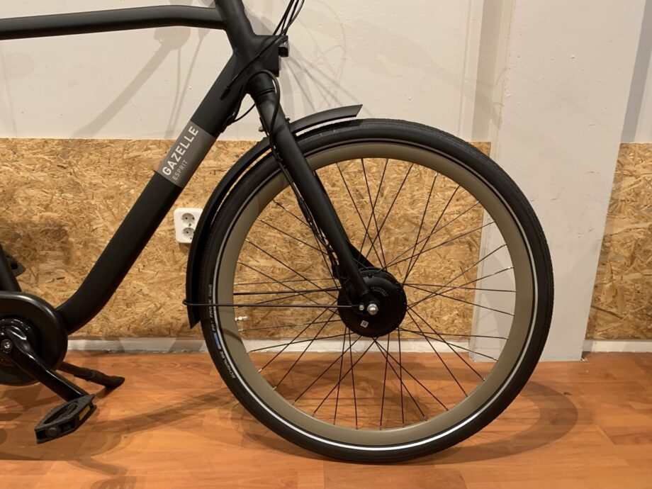 11: Gazelle Esprit
