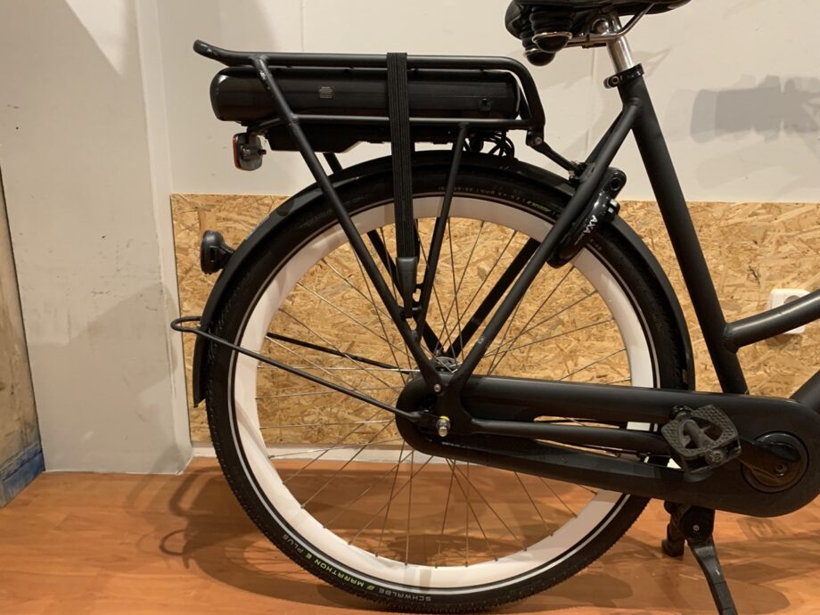 20: Gazelle Puur NL C7