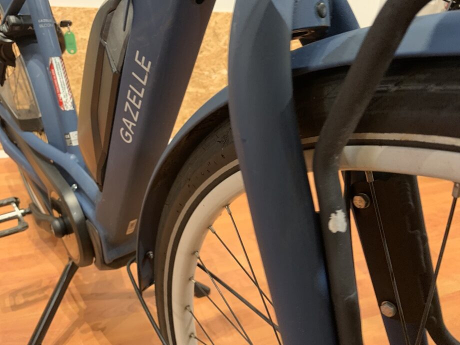 06: Gazelle Bloom C7