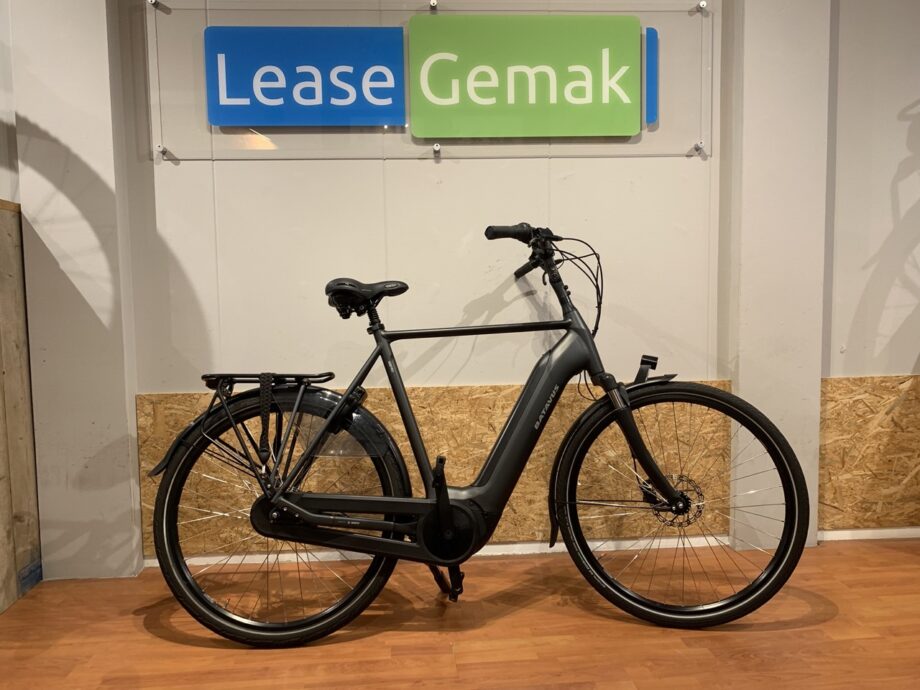 32: Batavus Finez E-Go