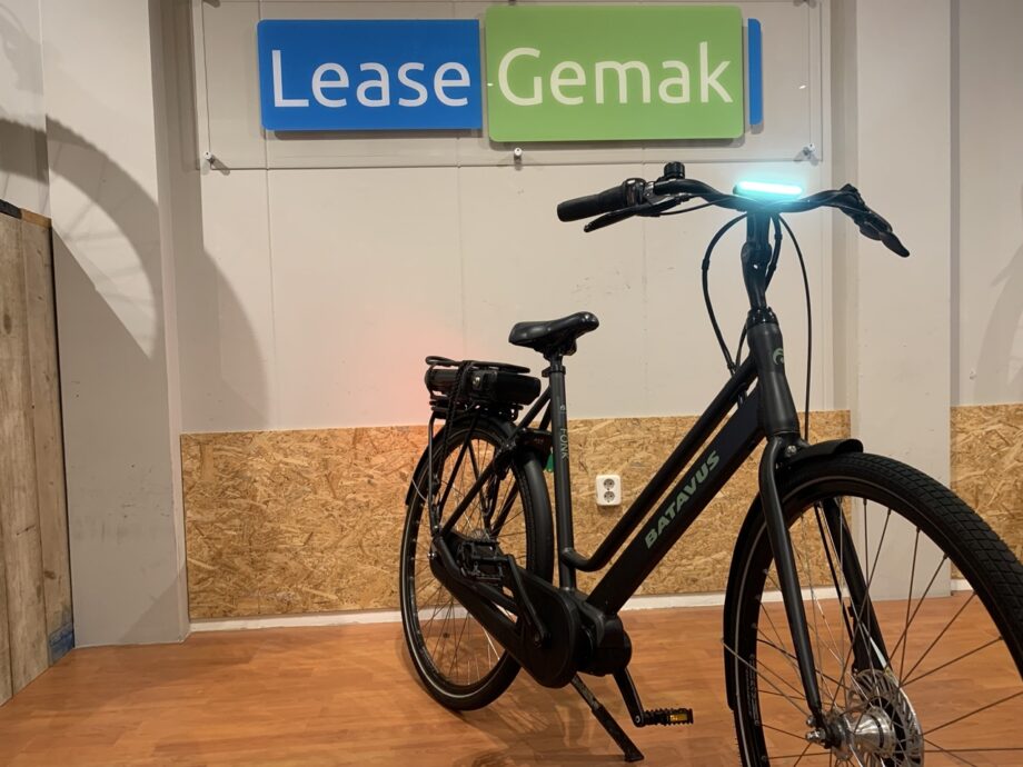 48: Batavus Fonk E-Go +
