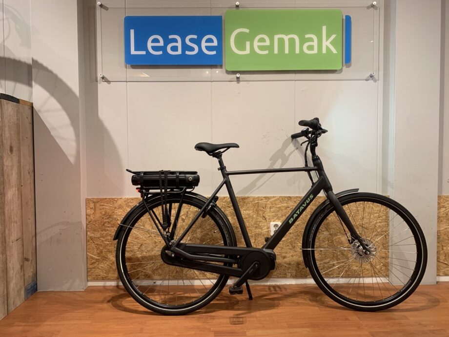 39: Batavus Finez E-Go +