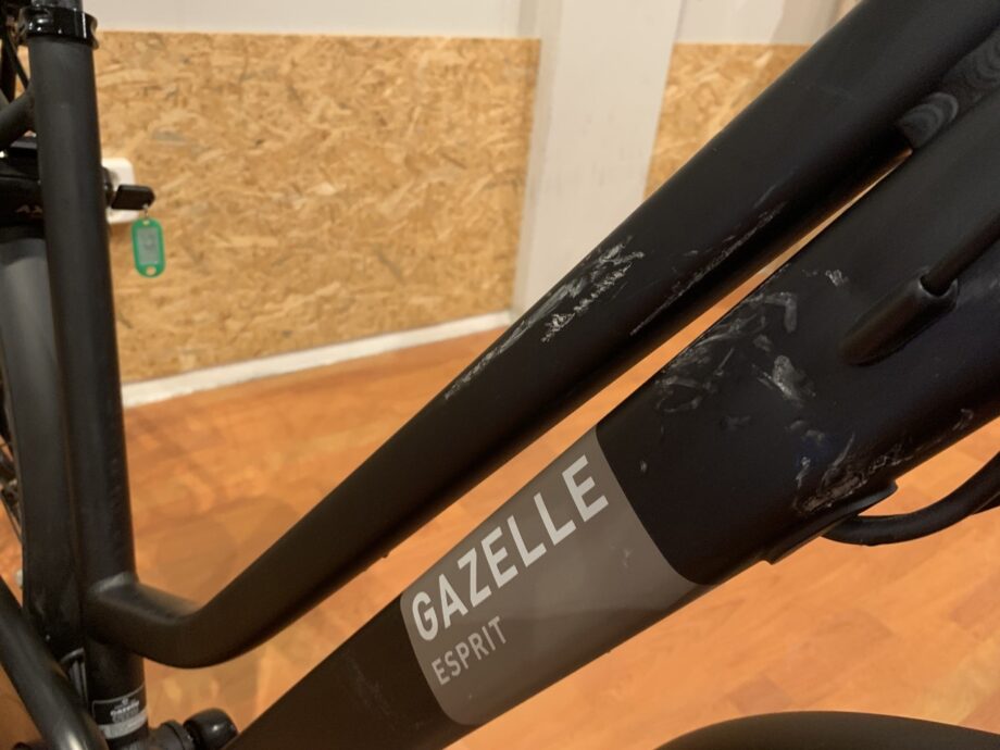 55: Gazelle Esprit