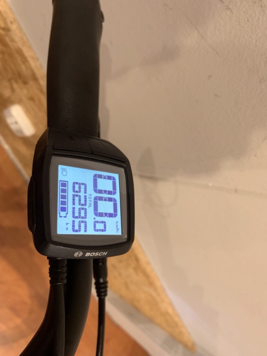 66: Batavus Dinsdag E-Go