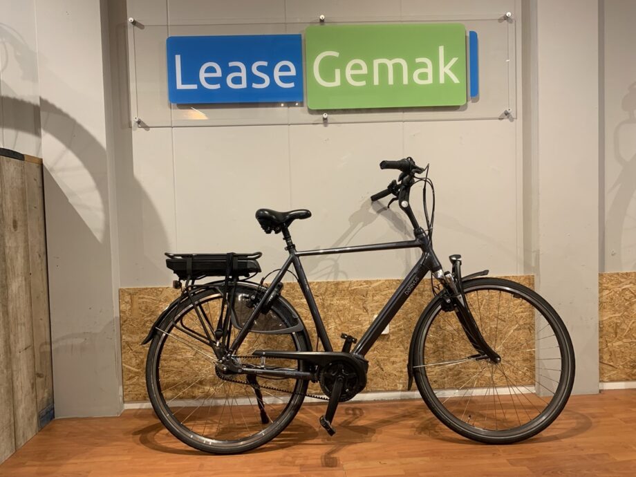 54: Batavus Wayz E-go