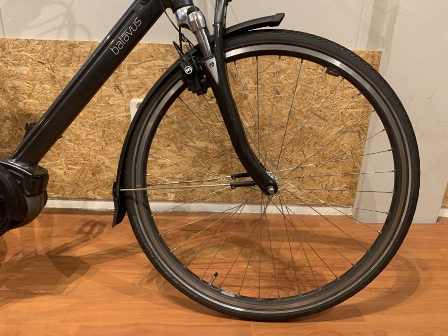54: Batavus Wayz E-go
