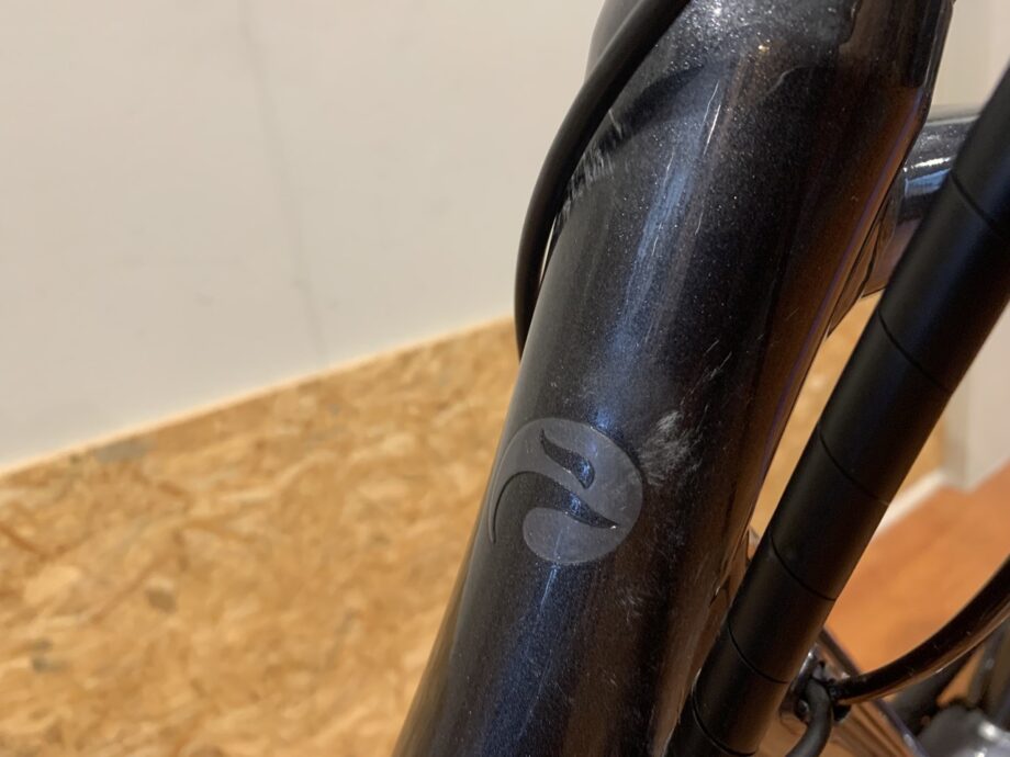 54: Batavus Wayz E-go