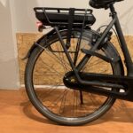 63: Gazelle Orange C8