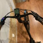 63: Gazelle Orange C8