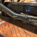 66: Batavus Dinsdag E-Go