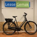 10: Batavus Fonk E-go