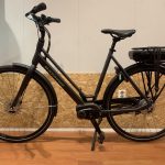 10: Batavus Fonk E-go