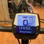 74: Dutch ID Wave belt