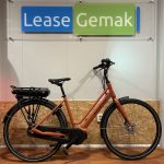 09: Batavus Fonk E-Go