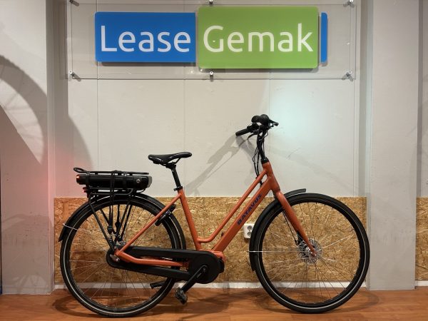 09: Batavus Fonk E-Go