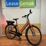 09: Batavus Fonk E-Go