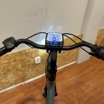 59: Gazelle Orange C8