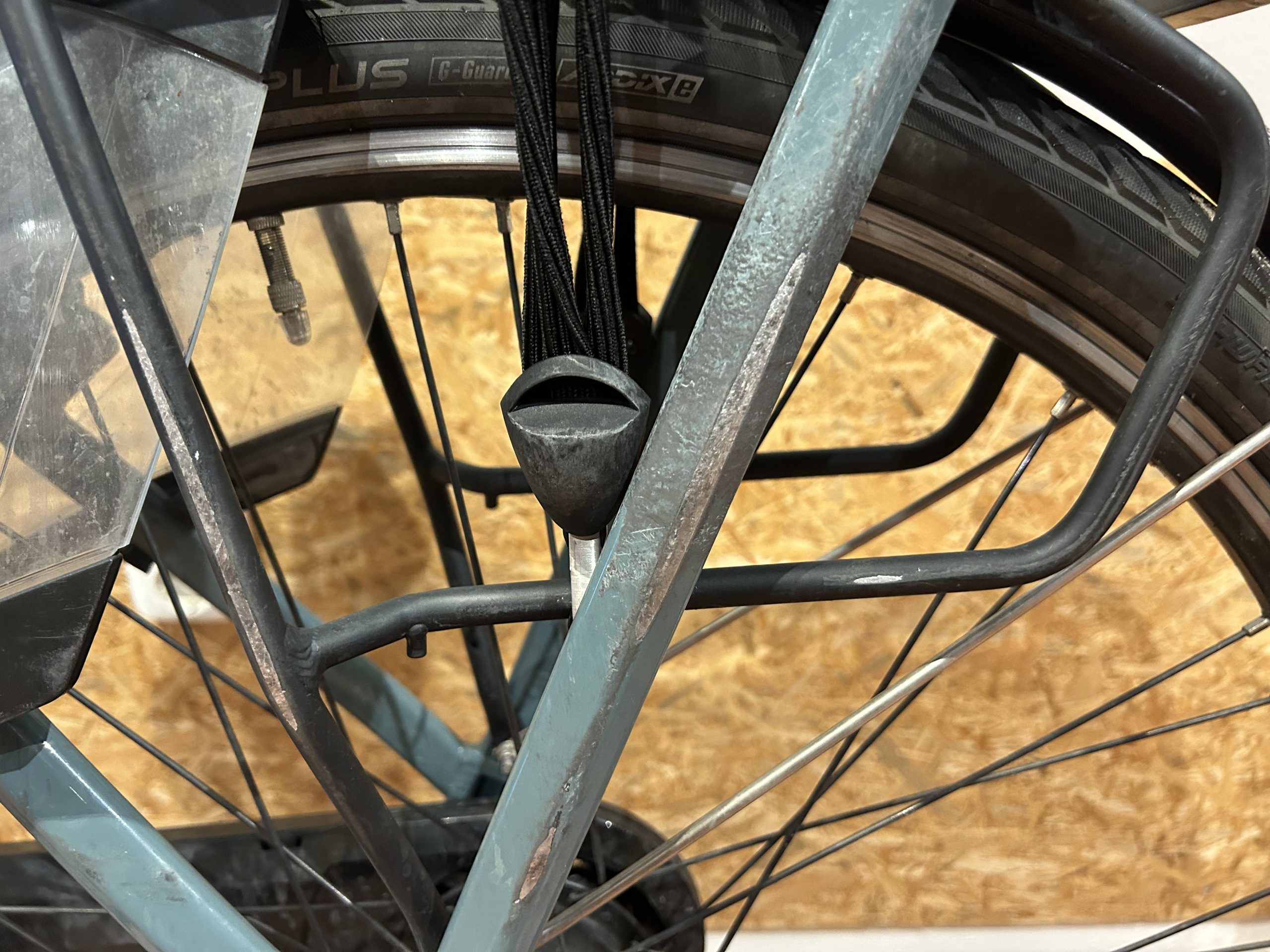 59: Gazelle Orange C8