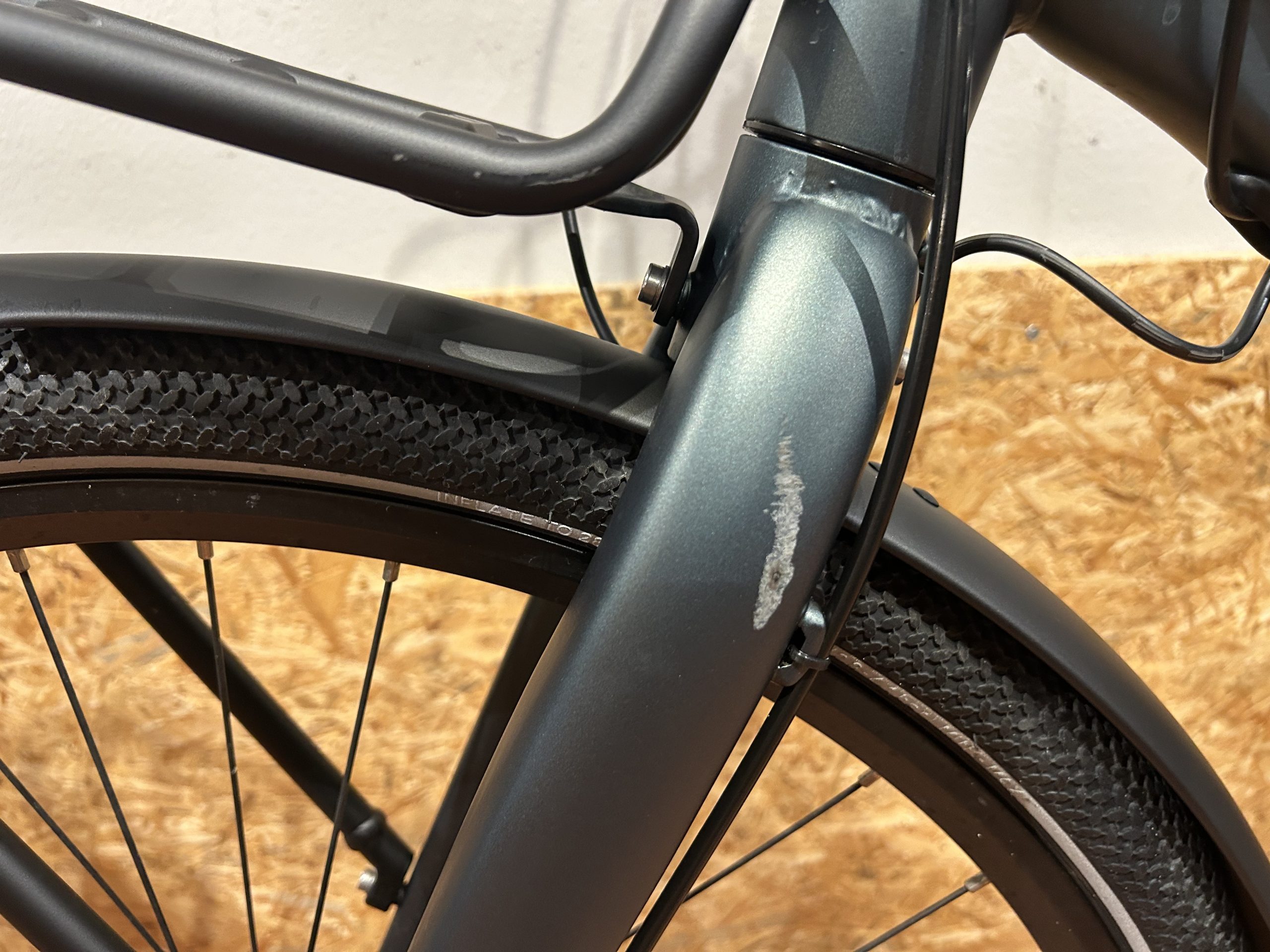 13: Cortina E-Common