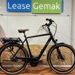 60: Pegasus Siena Belt