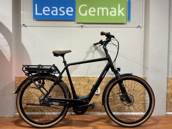 60: Pegasus Siena Belt