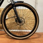 60: Pegasus Siena Belt