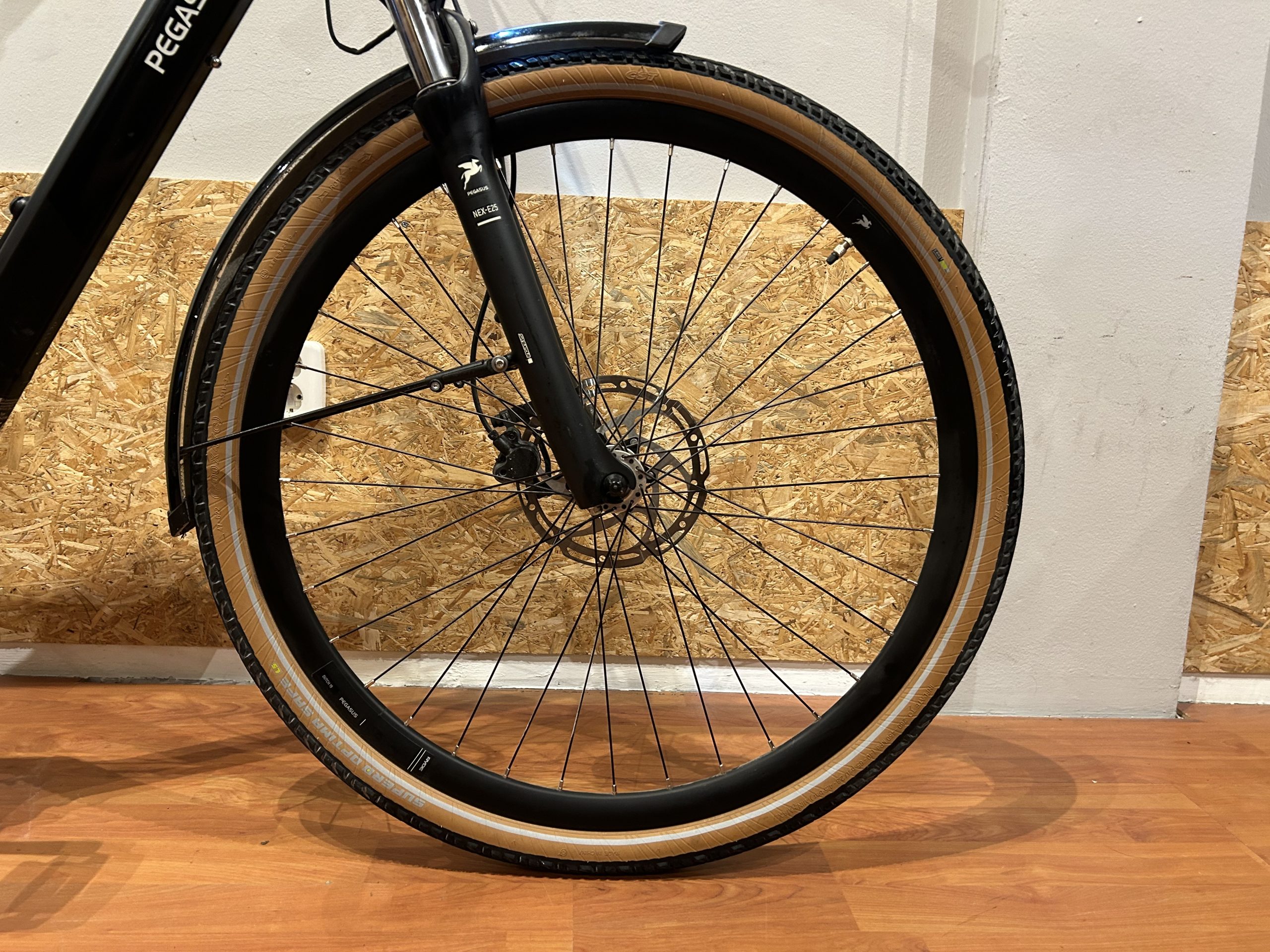 60: Pegasus Siena Belt