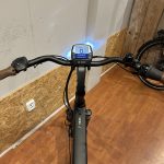 60: Pegasus Siena Belt