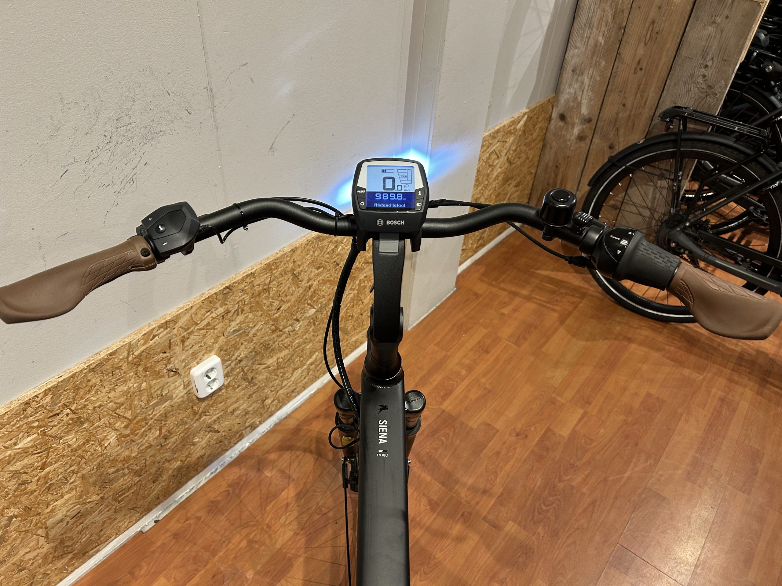 60: Pegasus Siena Belt