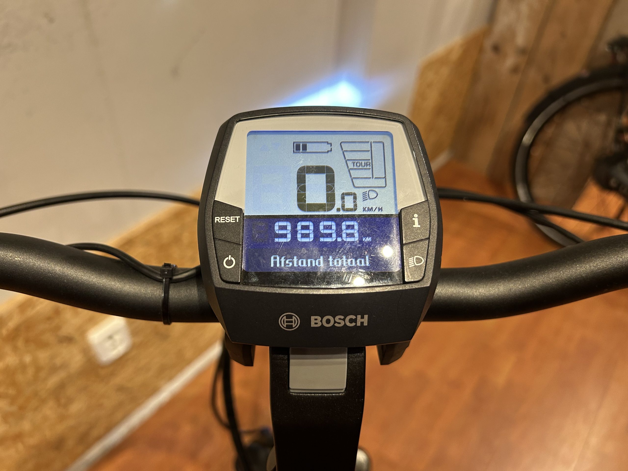 60: Pegasus Siena Belt