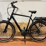 60: Pegasus Siena Belt