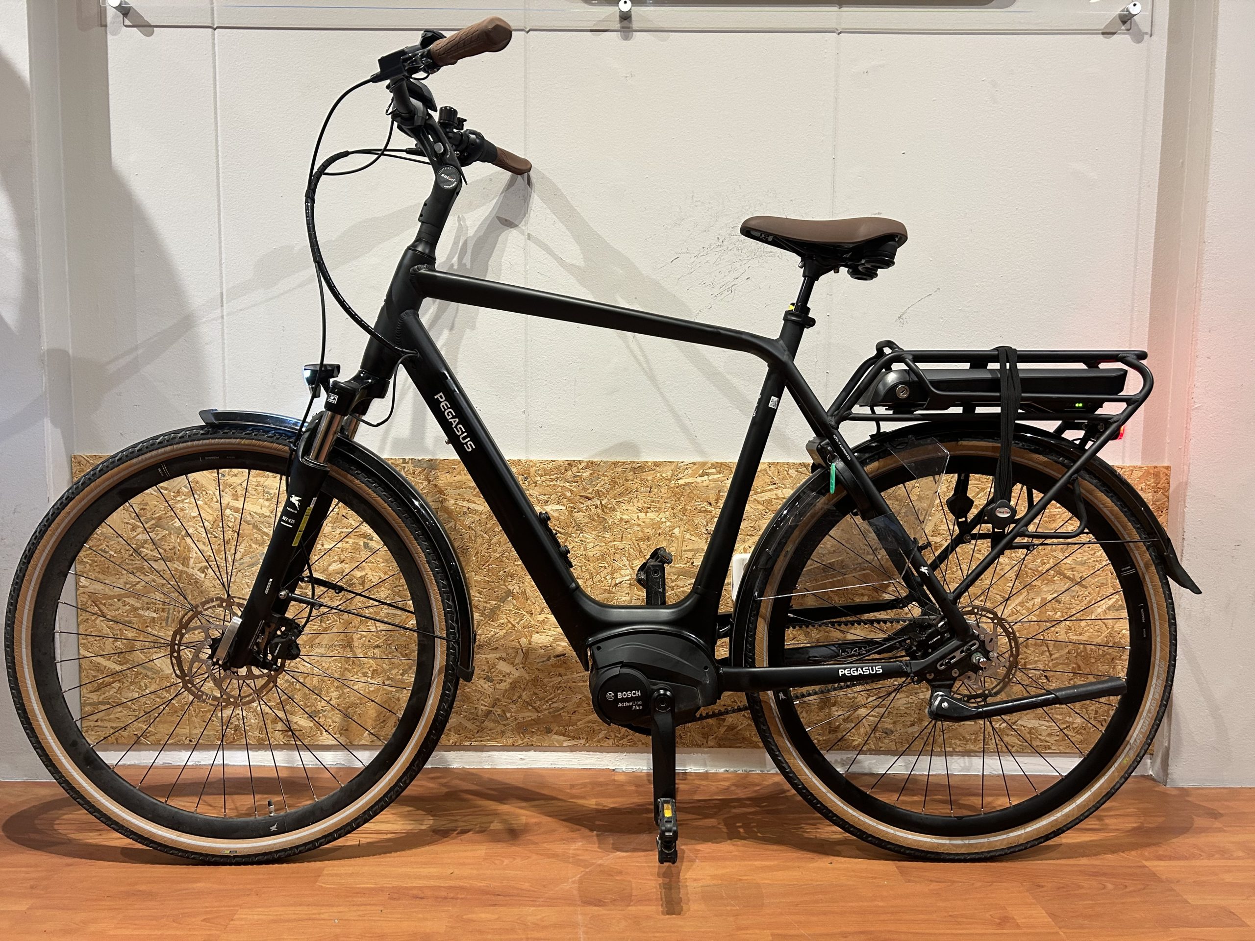 60: Pegasus Siena Belt