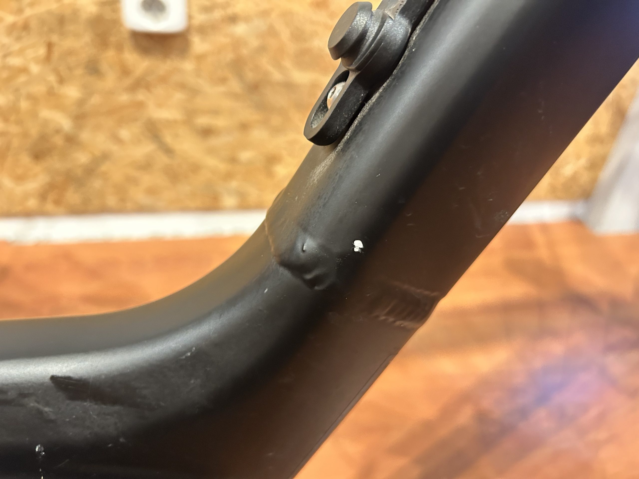 60: Pegasus Siena Belt