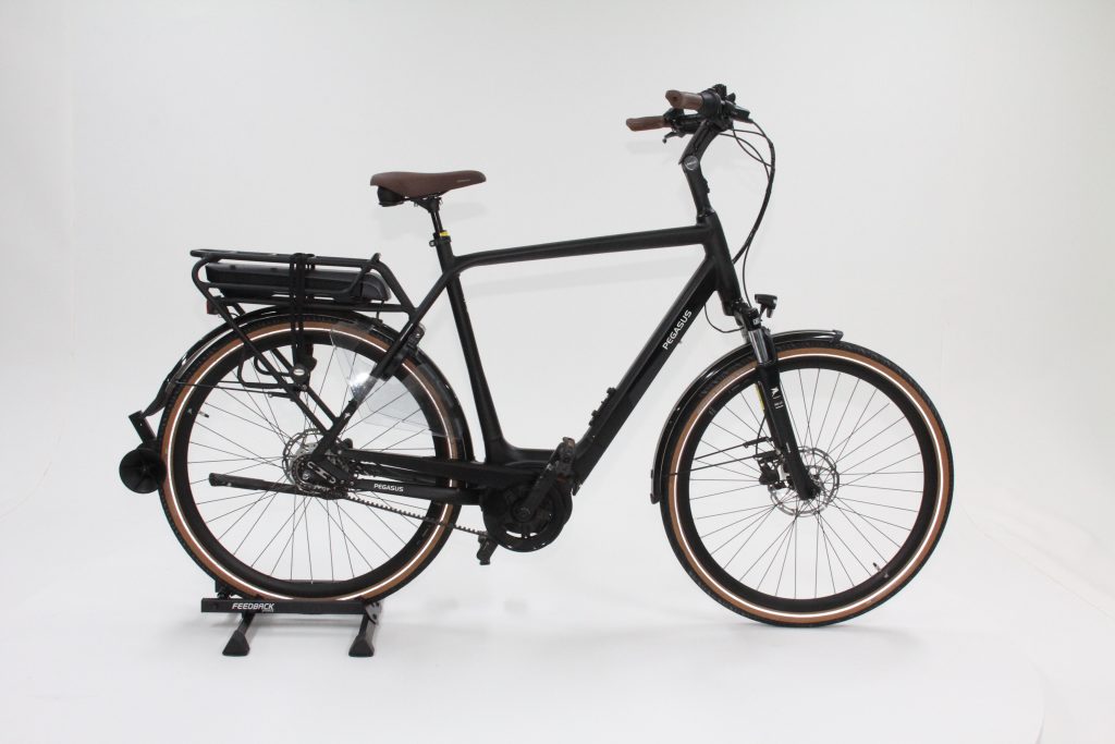 60: Pegasus Siena Belt