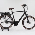 60: Pegasus Siena Belt