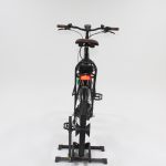 60: Pegasus Siena Belt