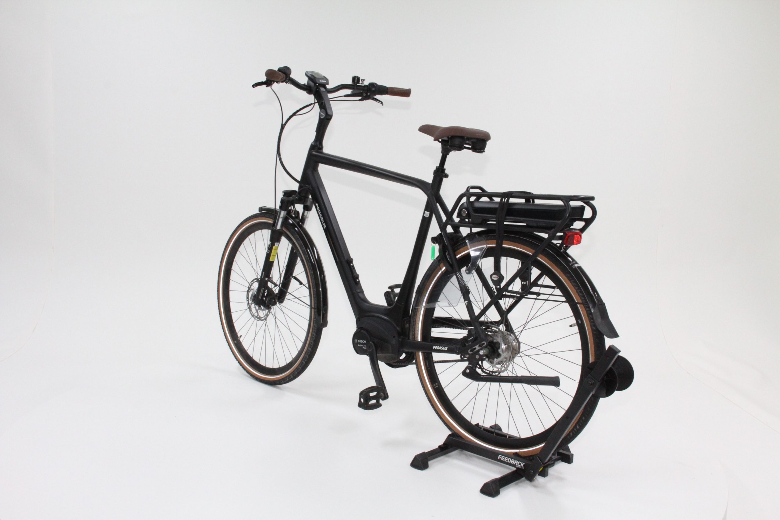 60: Pegasus Siena Belt