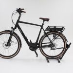 60: Pegasus Siena Belt