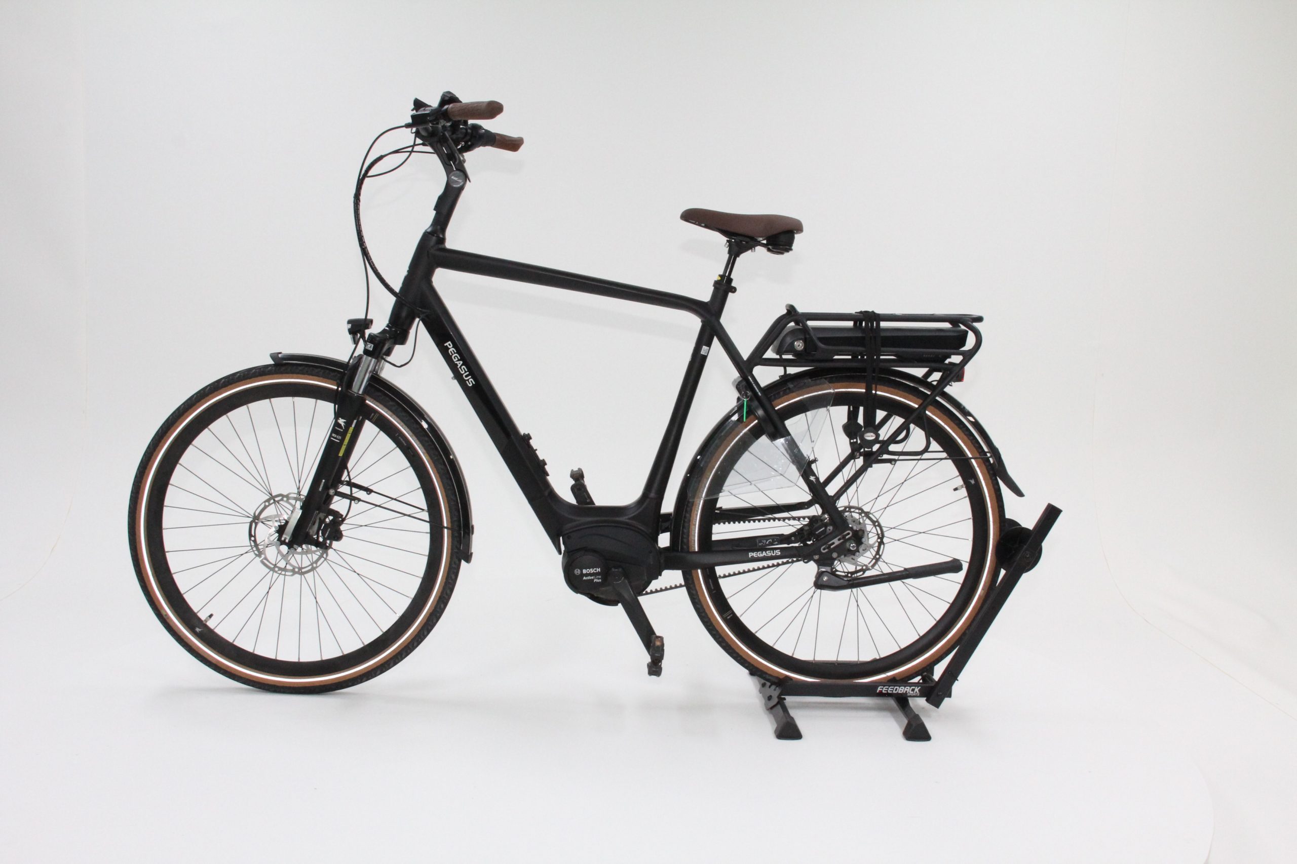 60: Pegasus Siena Belt