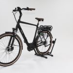 60: Pegasus Siena Belt