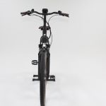 60: Pegasus Siena Belt