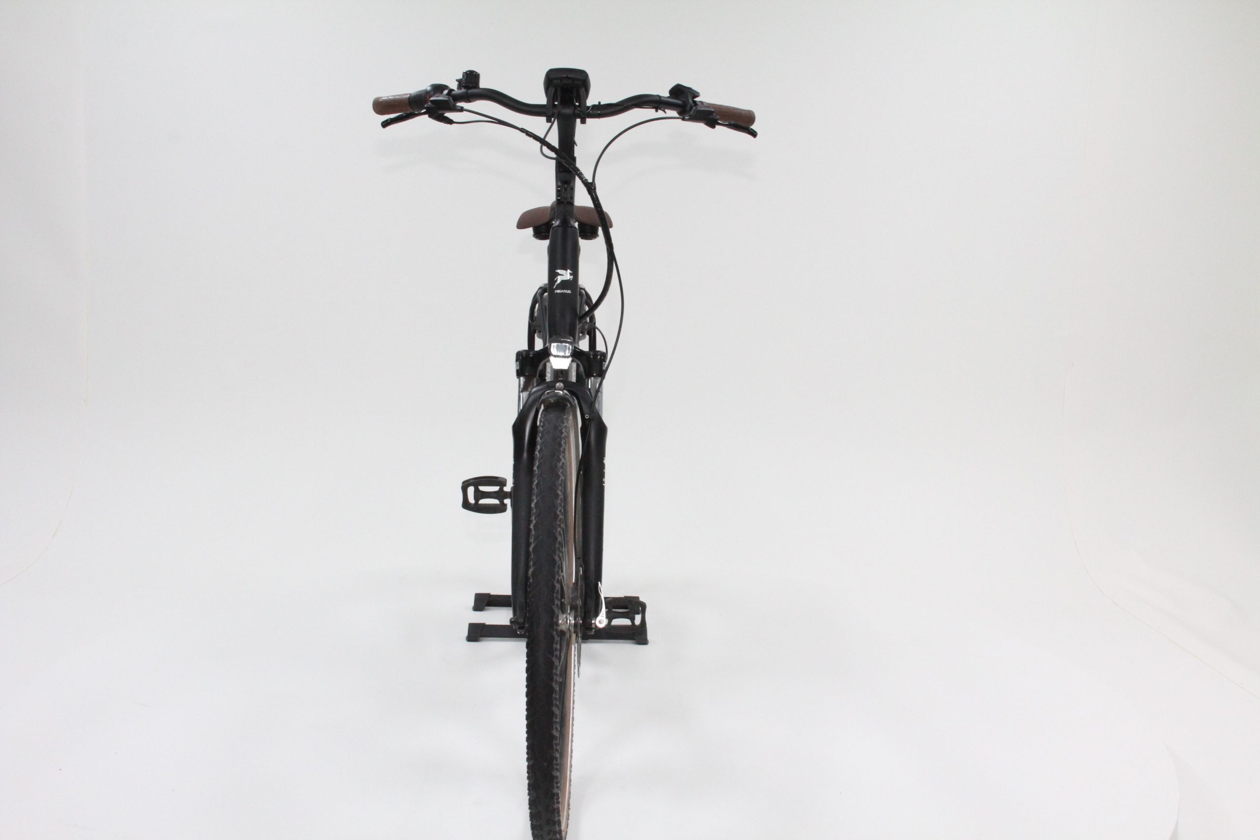 60: Pegasus Siena Belt