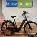 104: Batavus Finez E-go