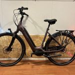 104: Batavus Finez E-go