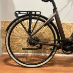 57: QWIC Premium Belt