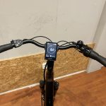 57: QWIC Premium Belt