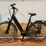 57: QWIC Premium Belt