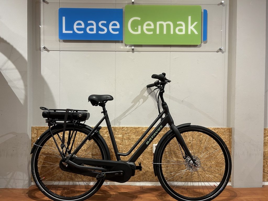 61: Batavus Fonk E-Go